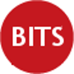 Bruton IT Solutions